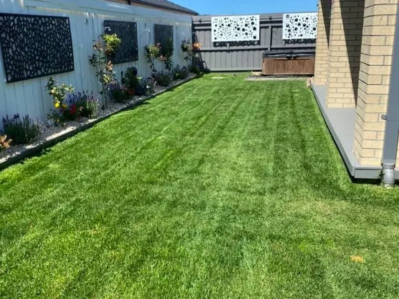 Freshly mown green lawn beside a timber deck