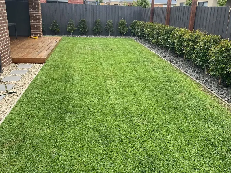 Striped lawn after mowing